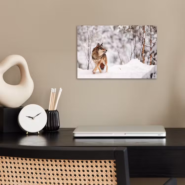 Poster - Wolf - Winter - Sneeuw - Natuur - Dieren — 2