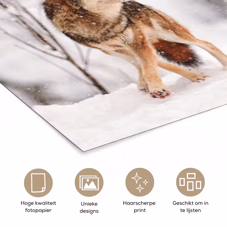 Poster - Wolf - Winter - Sneeuw - Natuur - Dieren — 5