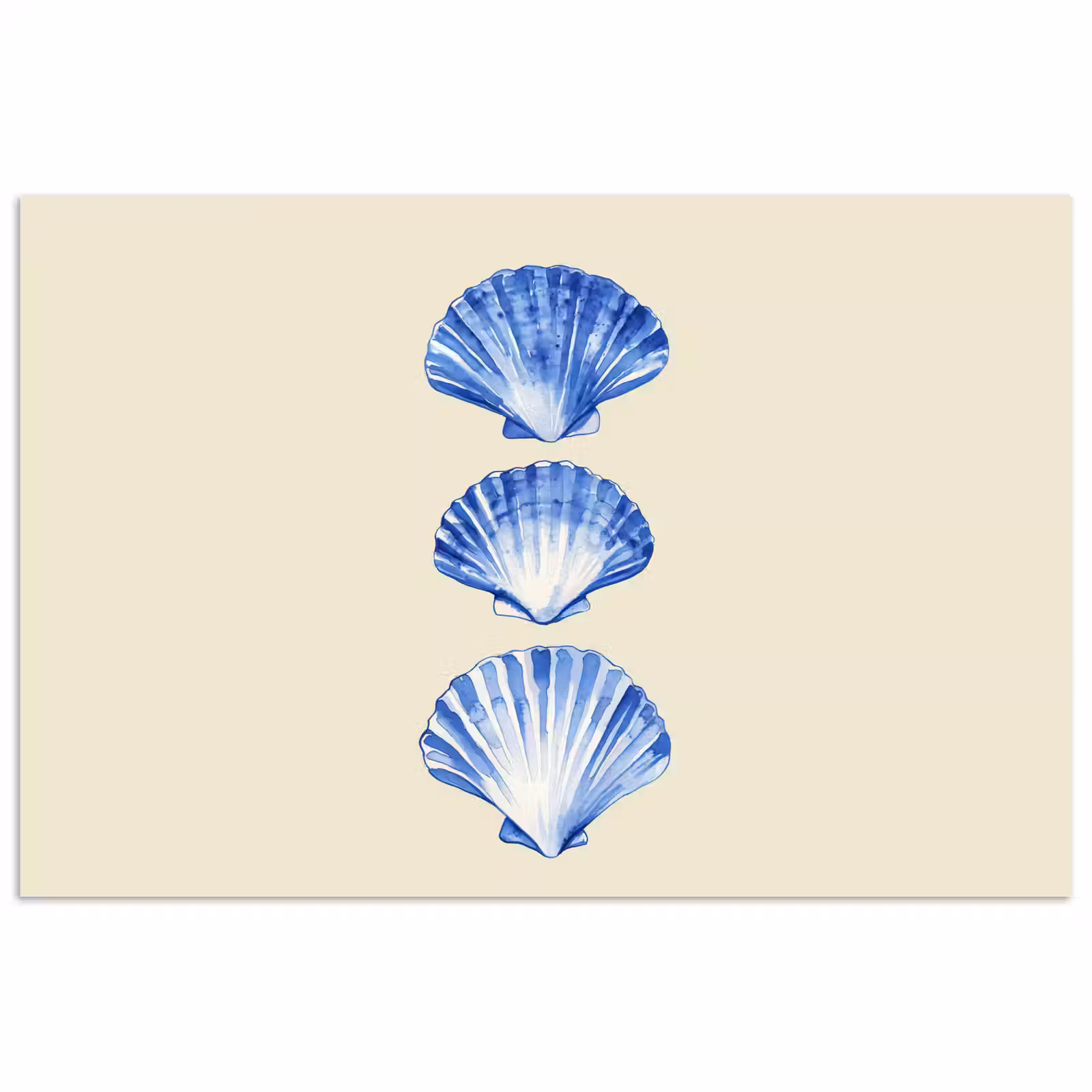 Poster - Schelpen - Blauw - Beige — 1