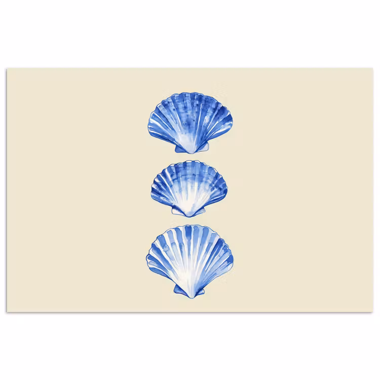 Poster - Schelpen - Blauw - Beige — 1
