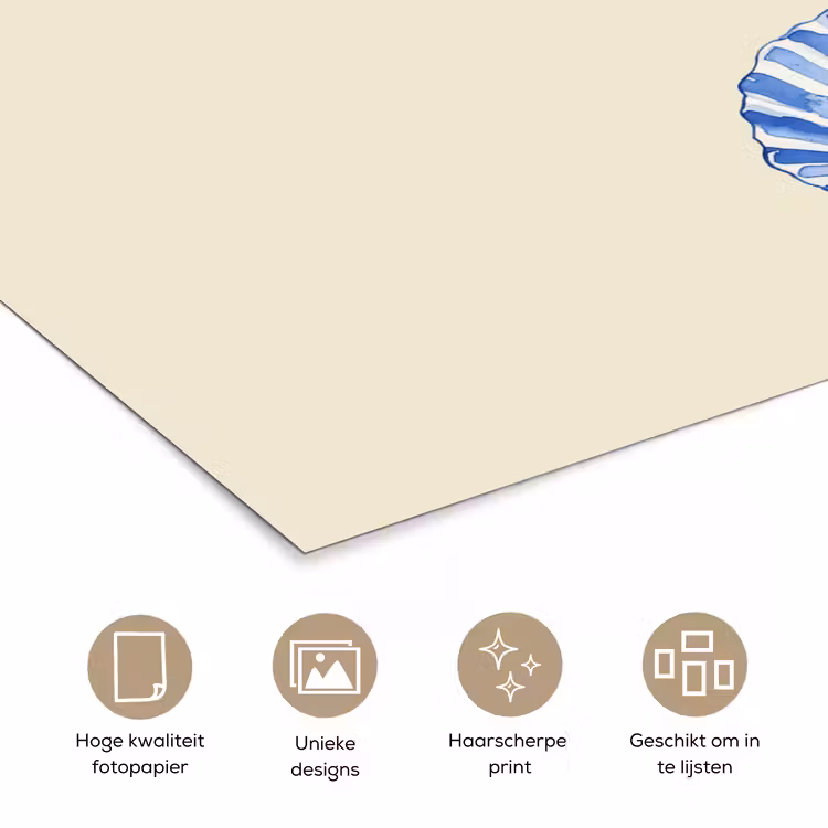 Poster - Schelpen - Blauw - Beige — 5
