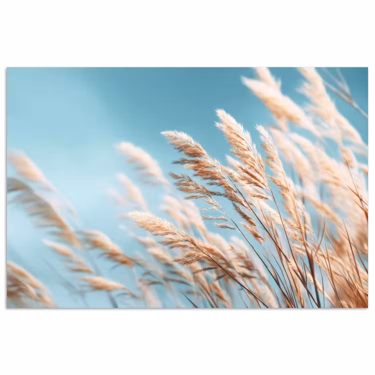 Poster - Siergras - Wind - Lichtbruin — 1