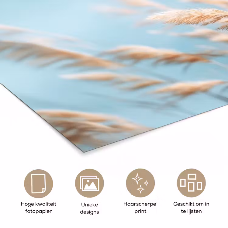 Poster - Siergras - Wind - Lichtbruin — 5