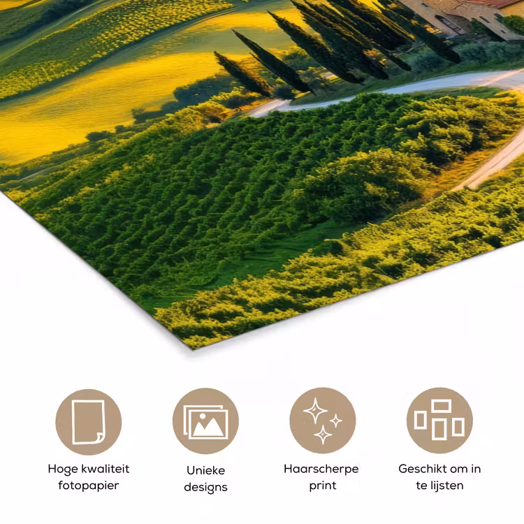 Poster - Toscane - Landschap - Wijngaarden — 5