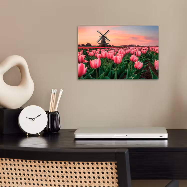 Poster - Tulpen - Molen - Nederland — 2