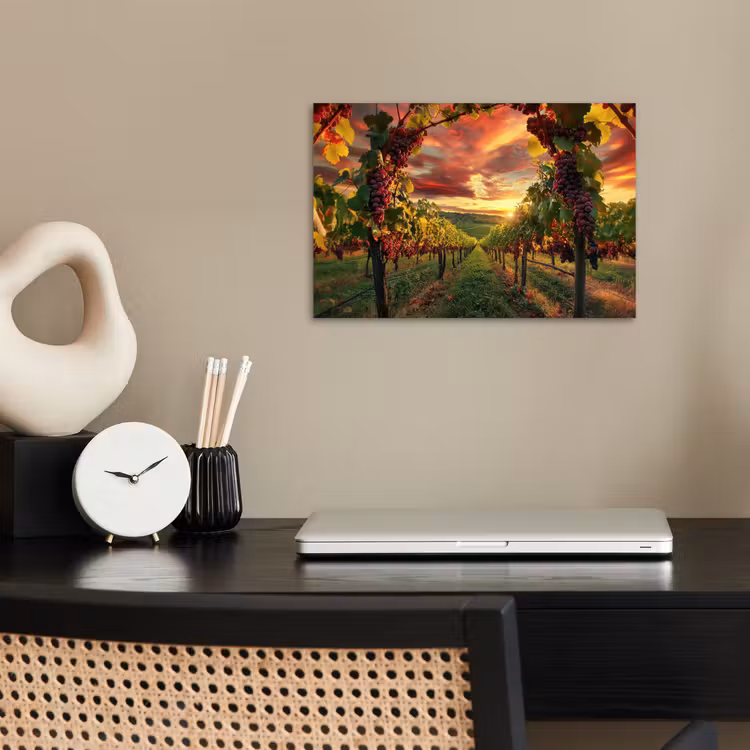 Poster - Wijngaard - Druiven - Zonsondergang — 2