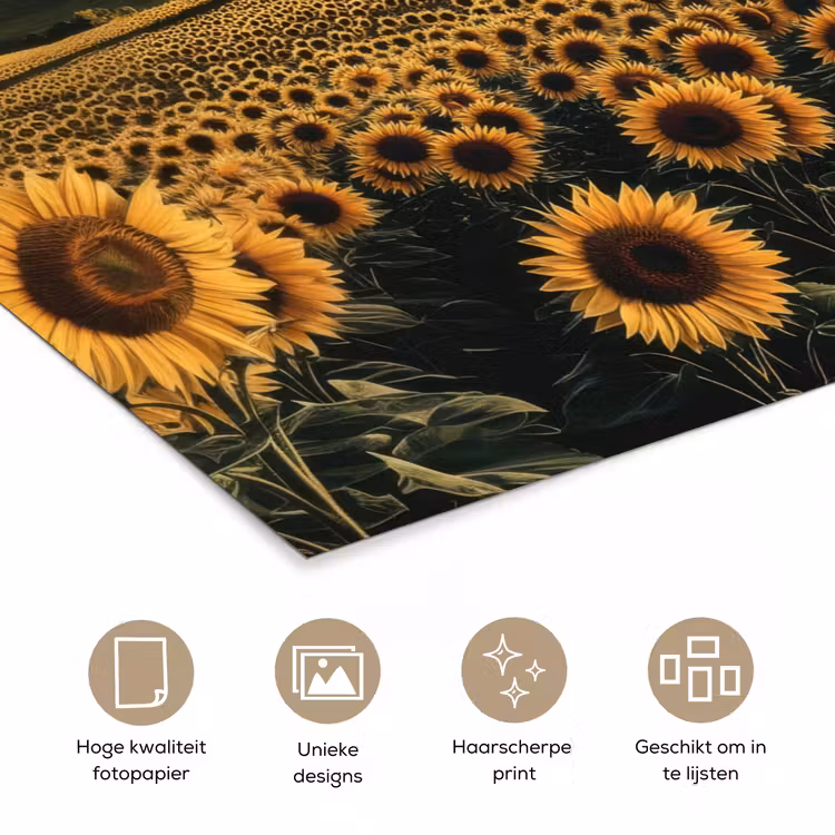 Poster - Zonnebloem - Veld - Windmolen — 5