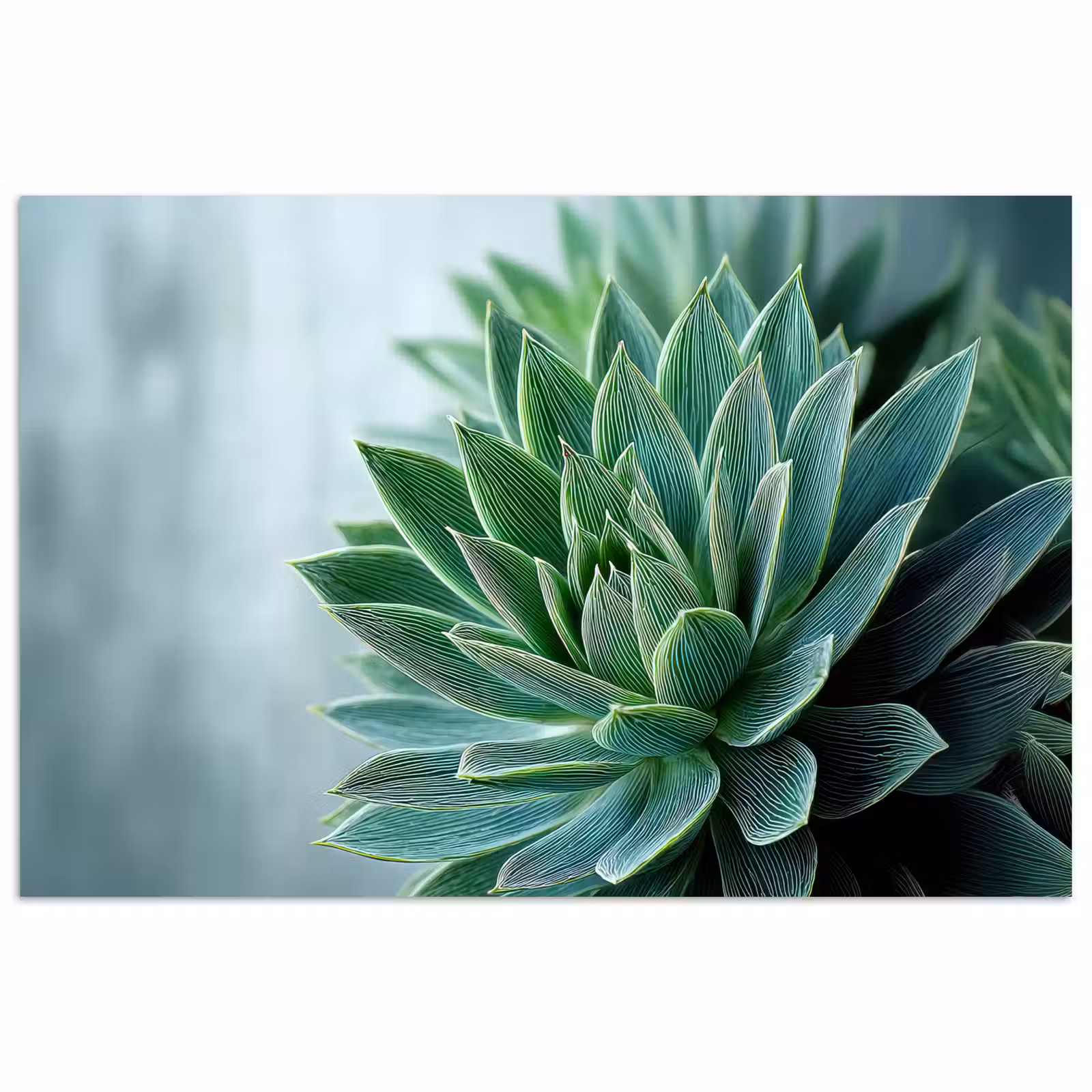 Poster - Vetplant - Bladeren - Groen - Wazig — 1