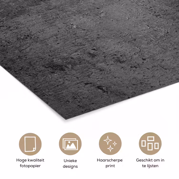 Poster - Structuur - Beton - Grijs - Industrieel - Rustiek — 5