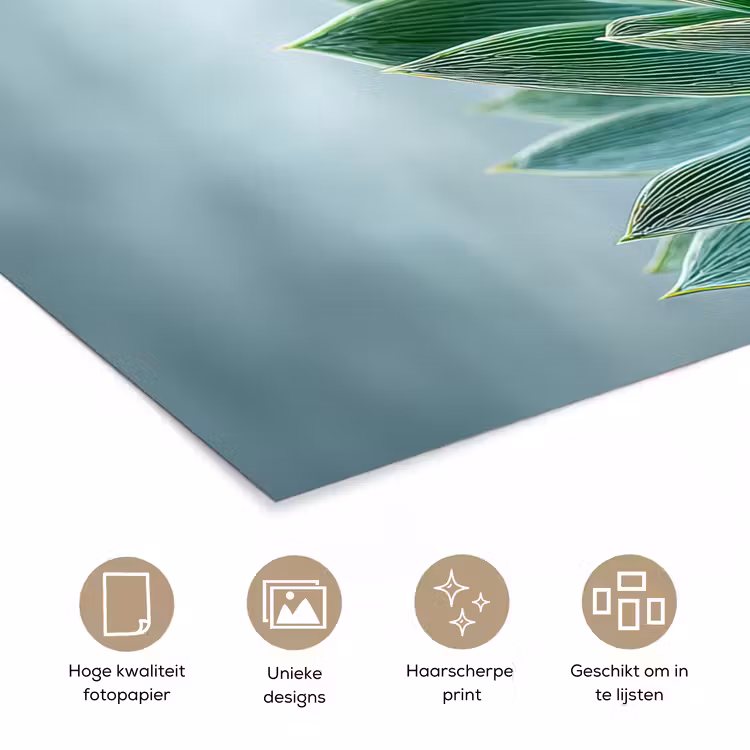 Poster - Vetplant - Bladeren - Groen - Wazig — 5