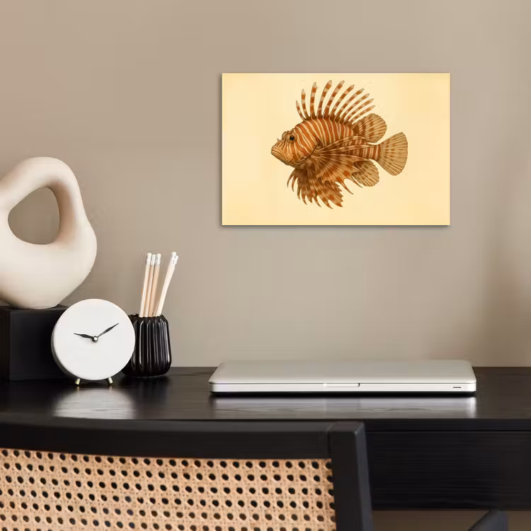 Poster - Strepen - Vis - Rond - Stekels — 2