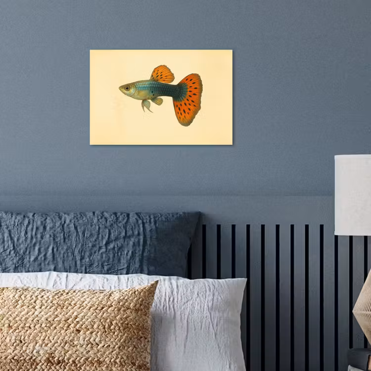 Poster - Vis - illustratie - Stippen - Oranje — 3