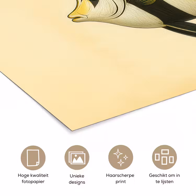 Poster - Vis - Sierlijk - Rugvin - Geel — 5