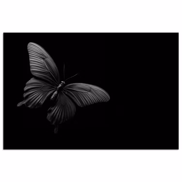 Poster - Vlinder - Zwart - Insect - Dieren — 1