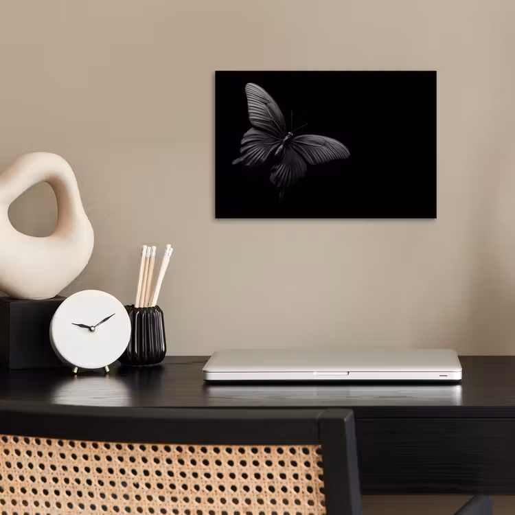 Poster - Vlinder - Zwart - Insect - Dieren — 2