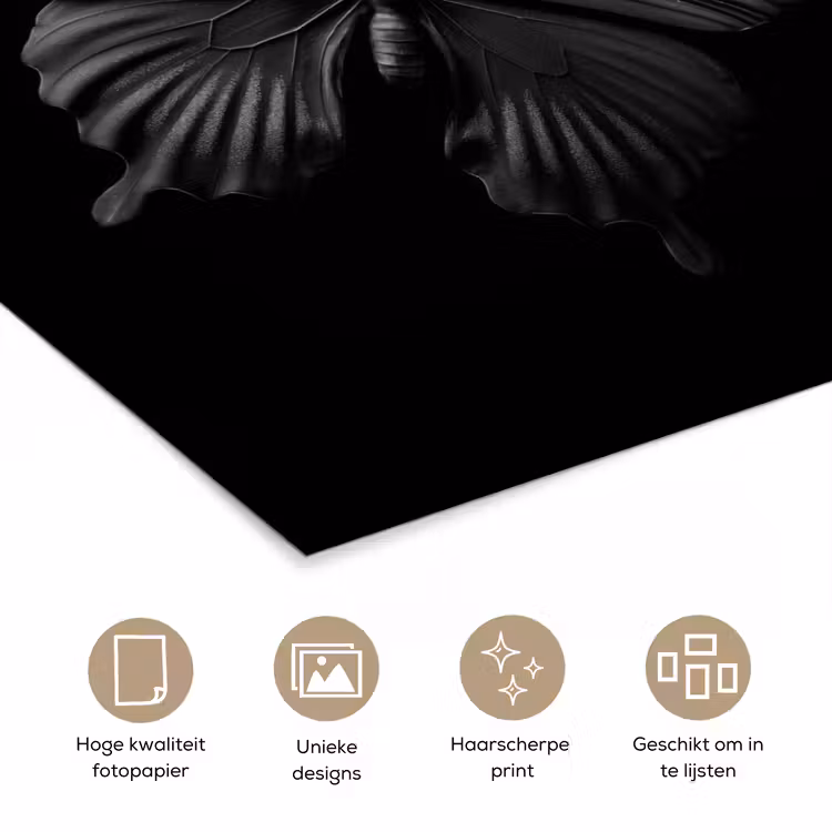 Poster - Vlinder - Zwart - Insect - Dieren — 5
