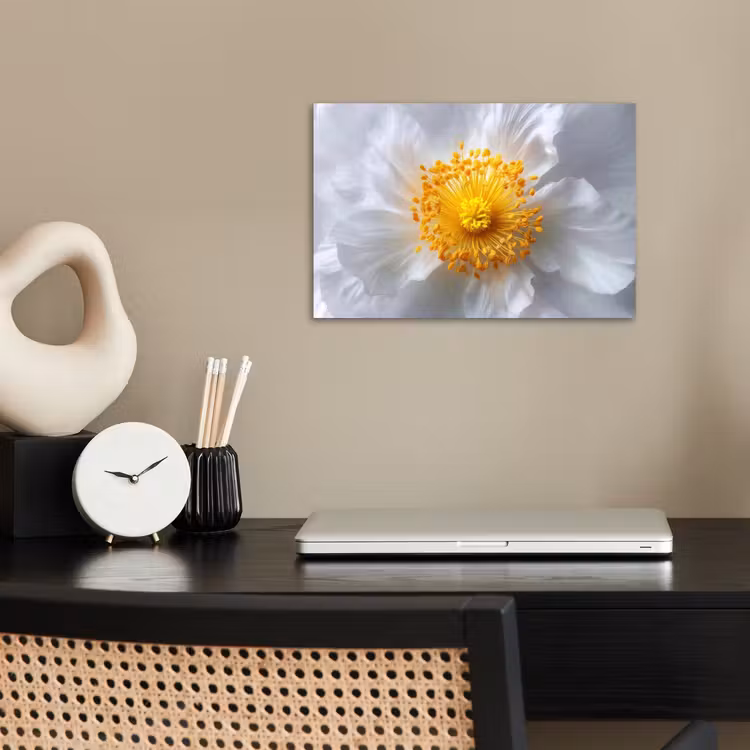 Poster - Wit - Bloem - Elegant — 2