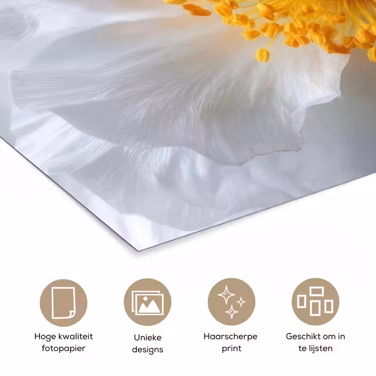 Poster - Wit - Bloem - Elegant — 5