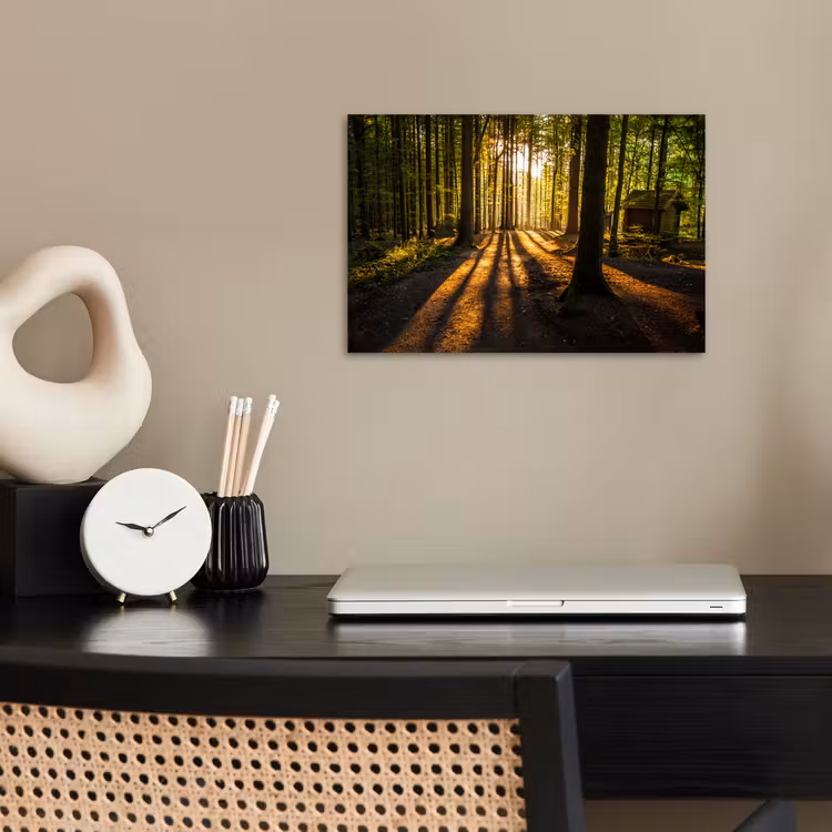 Poster - Zon - Bomen - Bos - Landschap - Natuur — 2