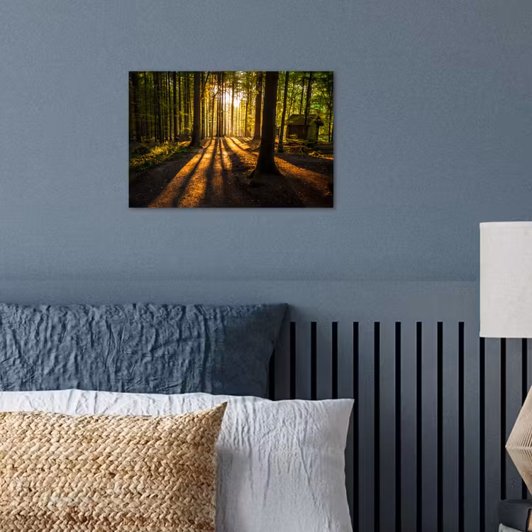 Poster - Zon - Bomen - Bos - Landschap - Natuur — 3