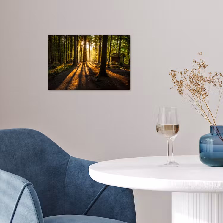Poster - Zon - Bomen - Bos - Landschap - Natuur — 4