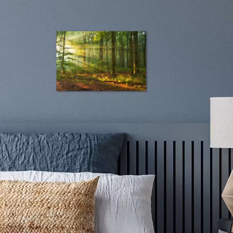 Poster - Zon - Bos - Bomen - Natuur - Herfst — 3
