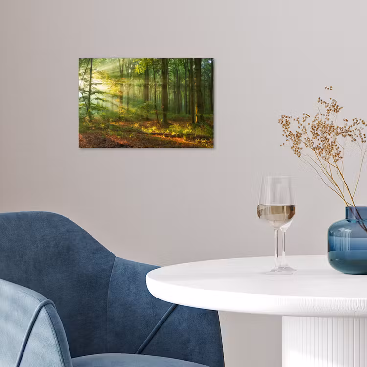 Poster - Zon - Bos - Bomen - Natuur - Herfst — 4