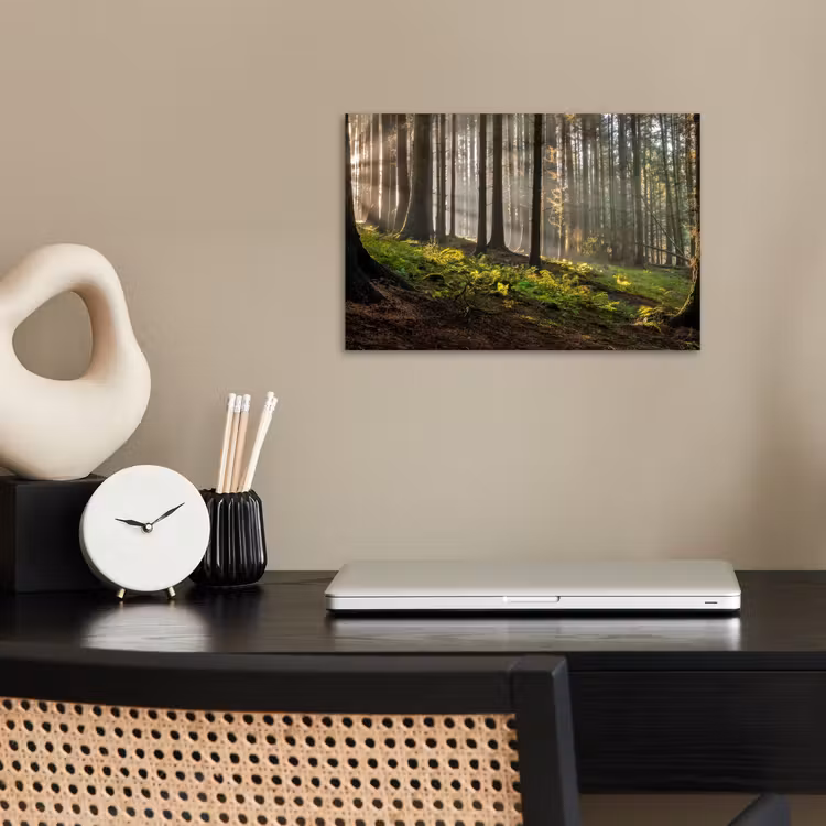 Poster - Zon - Takken - Bomen - Bos - Natuur — 2