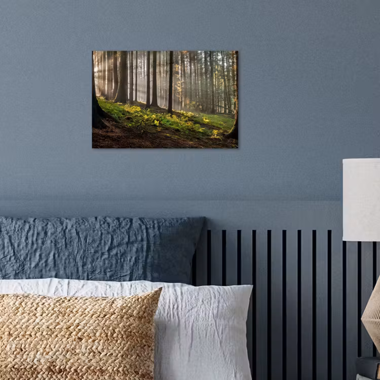 Poster - Zon - Takken - Bomen - Bos - Natuur — 3