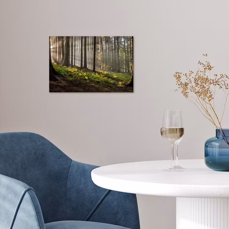Poster - Zon - Takken - Bomen - Bos - Natuur — 4