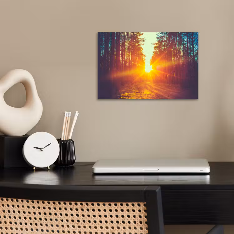 Poster - Zonsondergang - Bomen - Bos - Natuur — 2