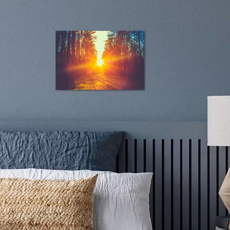 Poster - Zonsondergang - Bomen - Bos - Natuur — 3