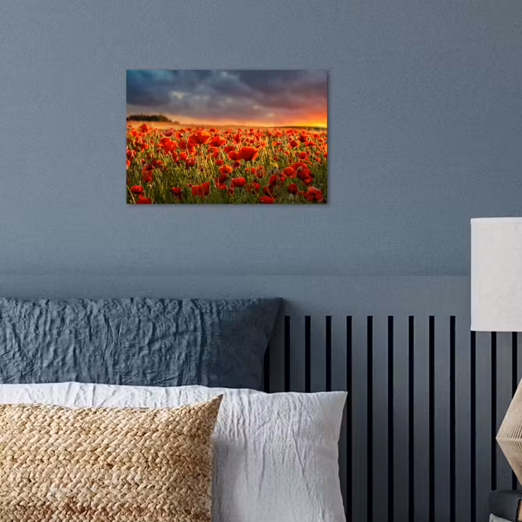 Poster - Zonsondergang - Klaprozen - Rood - Bloemen - Veld - Natuur — 3
