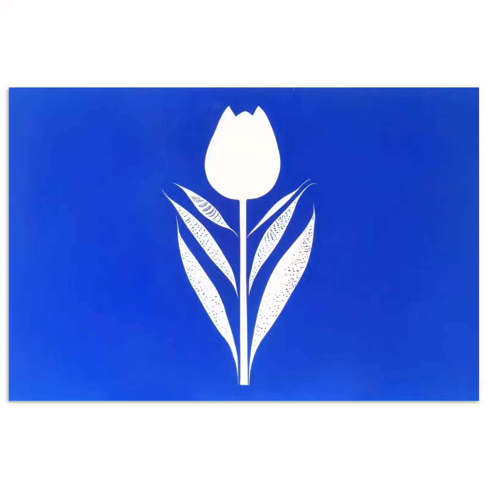 Poster - Tulp - Minimalistisch - Bladeren - Wit — 1