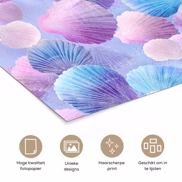 Poster - Schelpen - Paars - Blauw - Patroon — 5