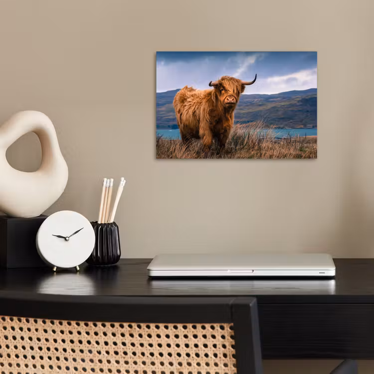 Poster - Schotse Hooglander - Berg - Water - Natuur - Koe — 2