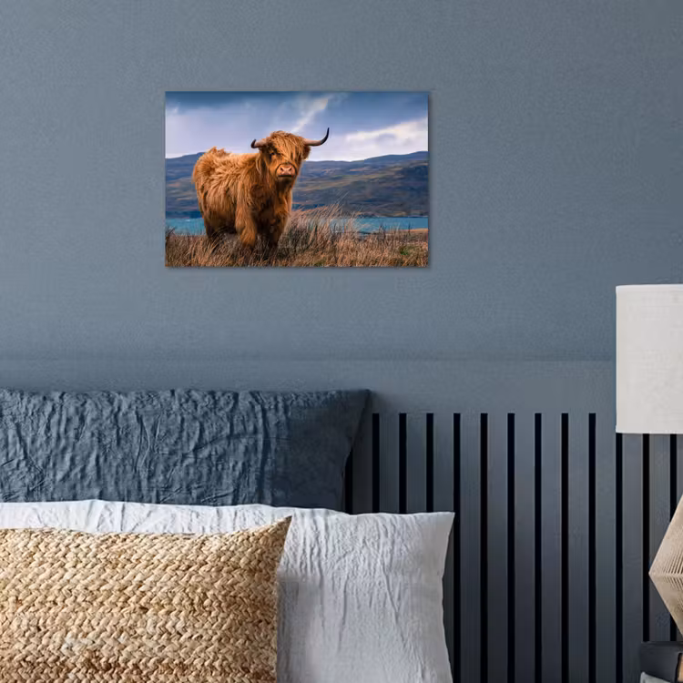 Poster - Schotse Hooglander - Berg - Water - Natuur - Koe — 3