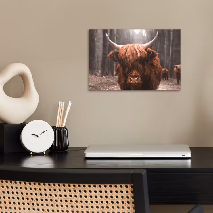 Poster - Schotse hooglander - Bos - Koe - Dieren - Natuur — 2