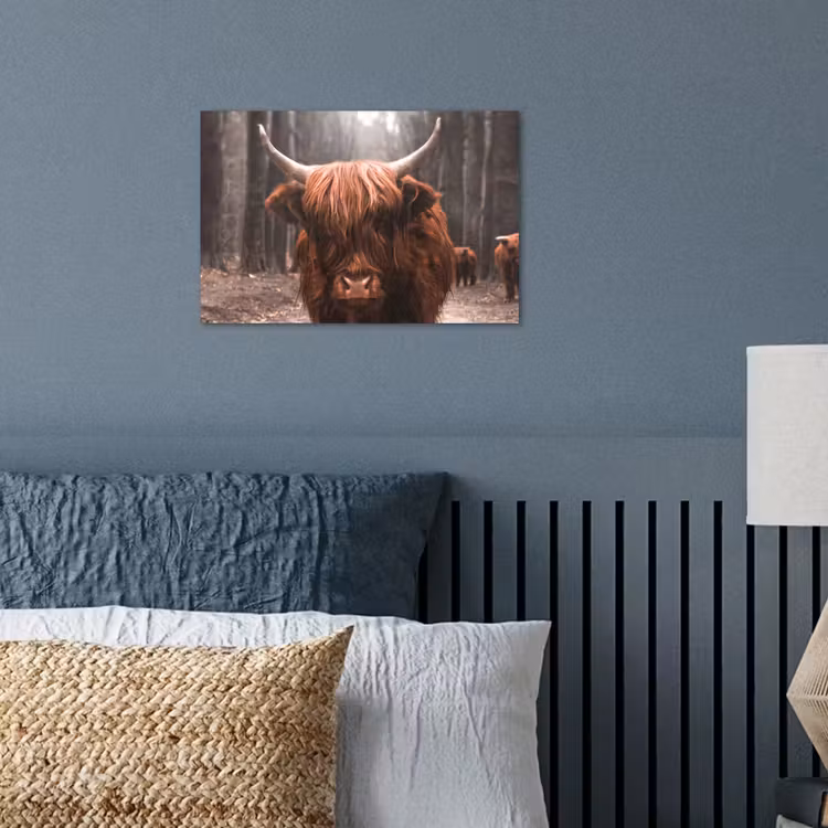 Poster - Schotse hooglander - Bos - Koe - Dieren - Natuur — 3