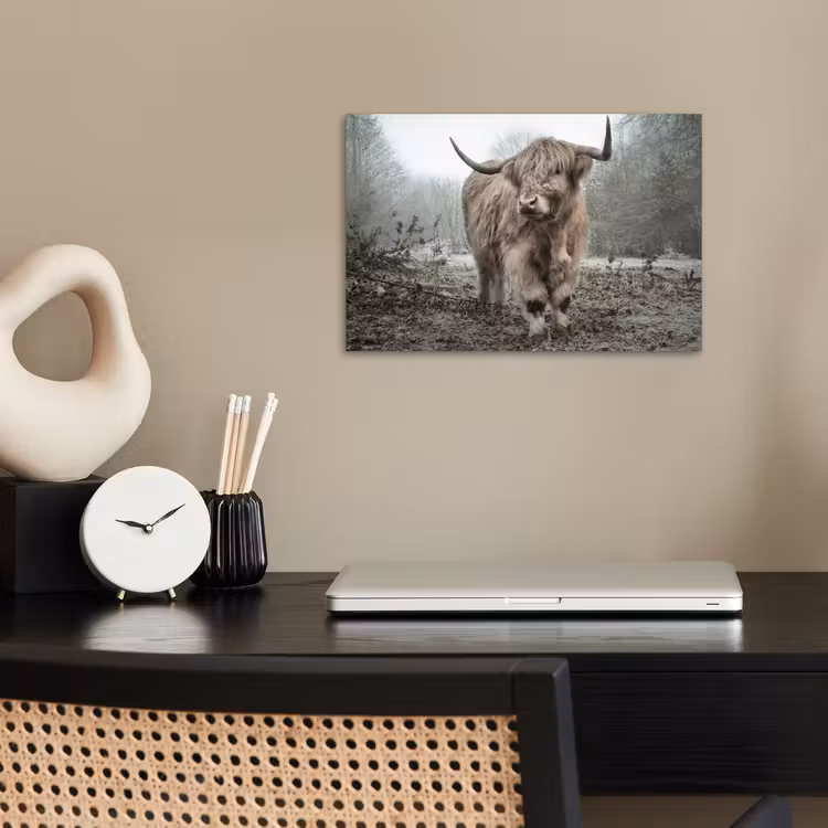 Poster - Schotse Hooglander - Bos - Mist - Koe - Dieren - Natuur — 2