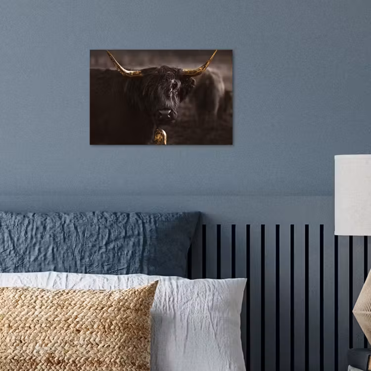 Poster - Schotse hooglander - Goud - Koebel - Hoorns - Dieren — 3
