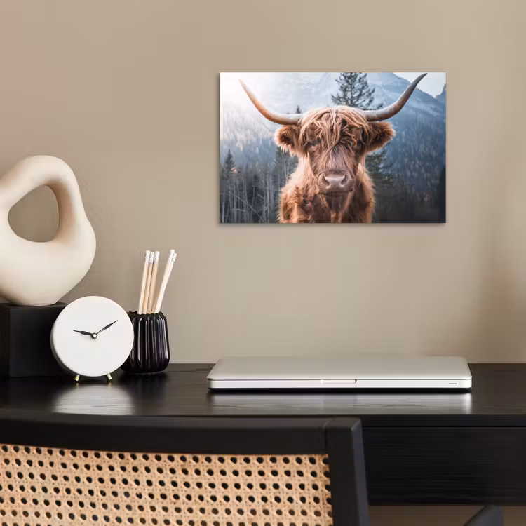 Poster - Schotse hooglander - Koe - Dieren - Berg - Natuur — 2
