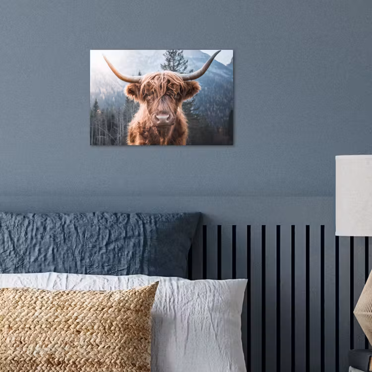 Poster - Schotse hooglander - Koe - Dieren - Berg - Natuur — 3