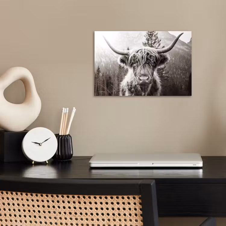 Poster - Schotse hooglander - Koe - Dieren - Zwart - Wit — 2