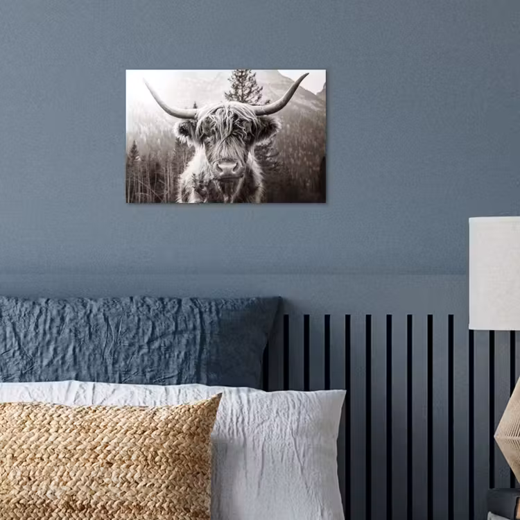 Poster - Schotse hooglander - Koe - Dieren - Zwart - Wit — 3