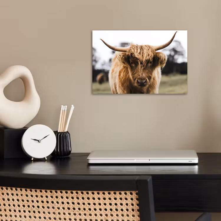 Poster - Schotse Hooglander - Koe - Gras - Dieren - Natuur — 2