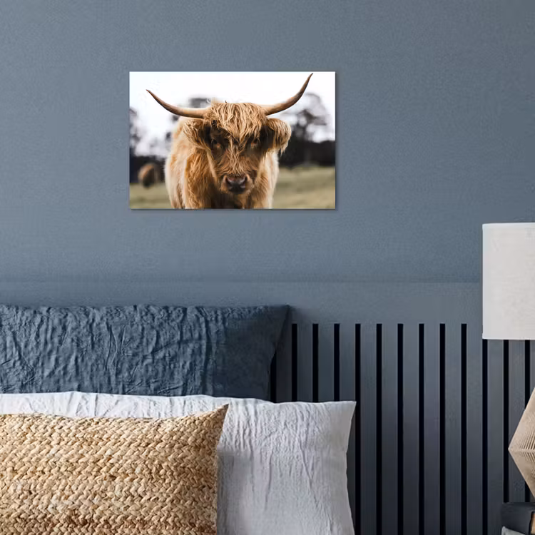 Poster - Schotse Hooglander - Koe - Gras - Dieren - Natuur — 3