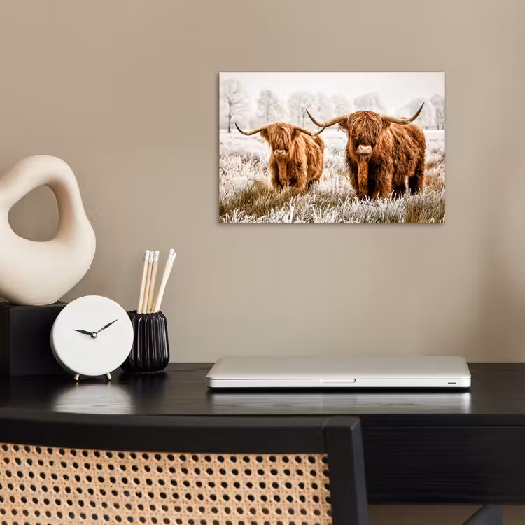 Poster - Schotse hooglander - Koe - Natuur - Winter — 2