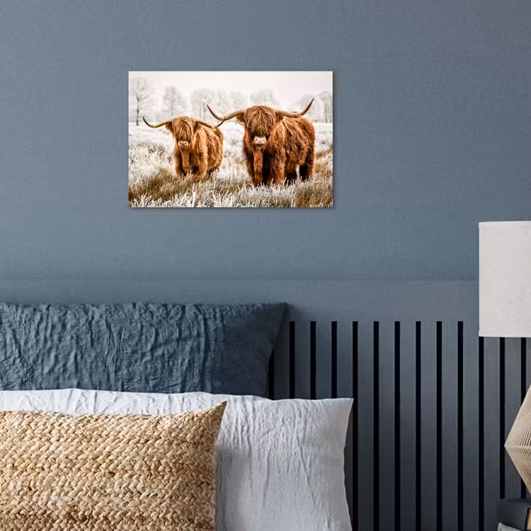 Poster - Schotse hooglander - Koe - Natuur - Winter — 3