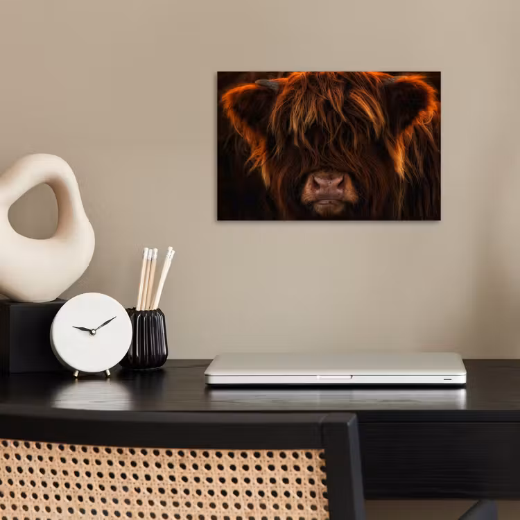 Poster - Schotse Hooglander - Koe - Portret - Dieren — 2